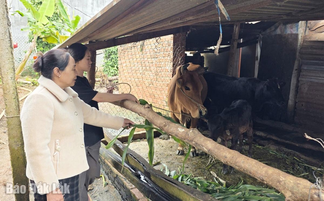 Bà Mộng Thị Hường, Bí thư chi bộ kiêm thôn trưởng thôn Cao Bằng động viên gia đình chị Nguyễn Thị Dung