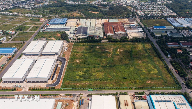 Ảnh minh họa: TTXVN