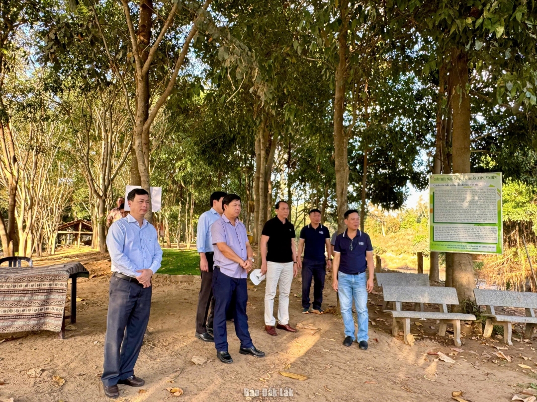 Bí thư Tỉnh ủy Lương Nguyễn Minh Triết kiểm tra thực địa khu quy hoạch Trung tâm Du lịch Cầu treo Buôn Đôn.
