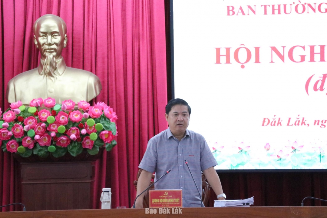 Ủy viên dự khuyết Trung ương Đảng, Bí thư Tỉnh ủy Lương Nguyễn Minh Triết, kết luận hội nghị.