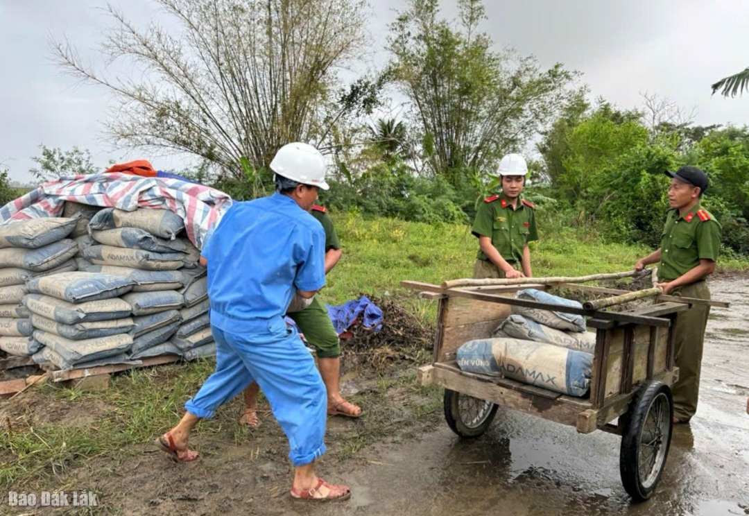 ... và vận chuyển xi măng đến công trình.