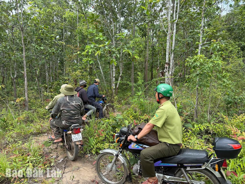 Hạt Kiểm lâm khu vực Ea Hleo phối hợp với lực lượng chức năng địa phương ra quân tuần tra bảo vệ rừng.
