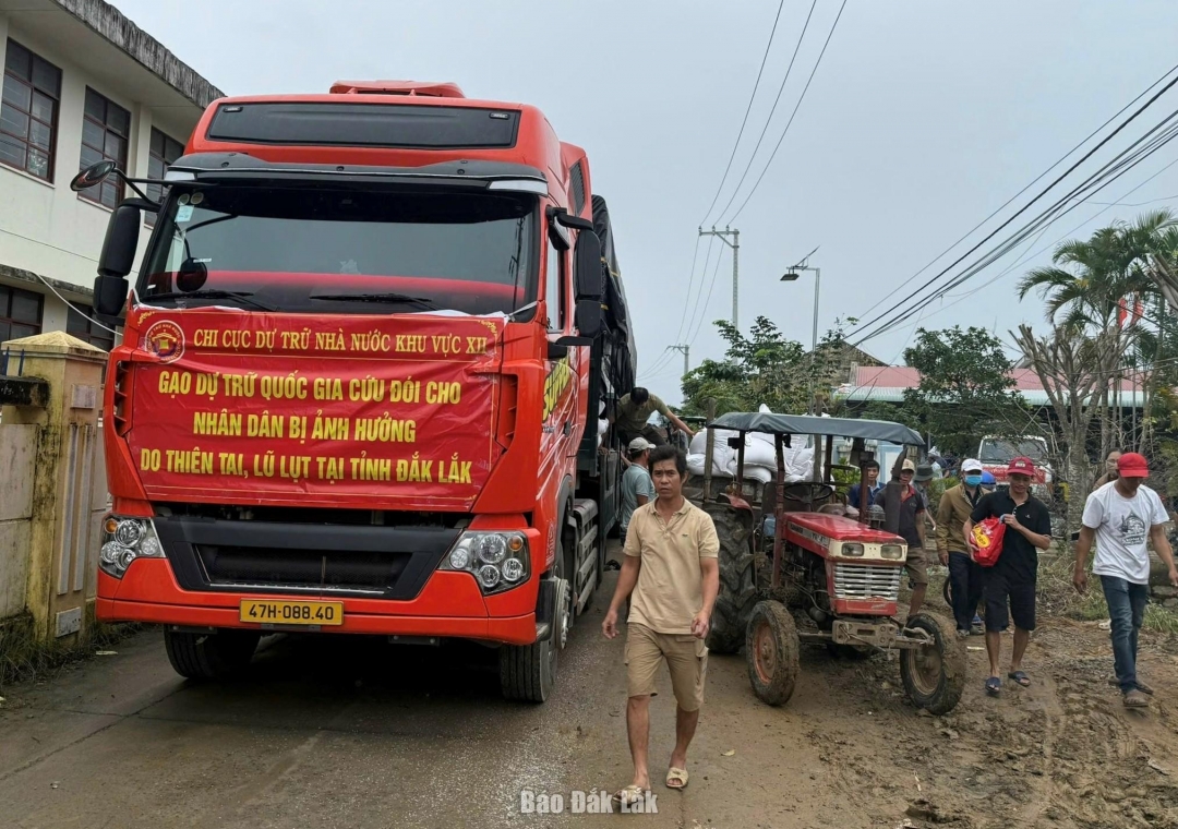 Xe chở gạo đến xã Xuân Lộc hôm nay nhé