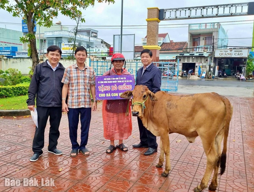 Ông Phan Ngọc Thành, Phó Ban Quản lý KHu kinh tế Phú Yên trao bò giống cho hộ dân tại. 