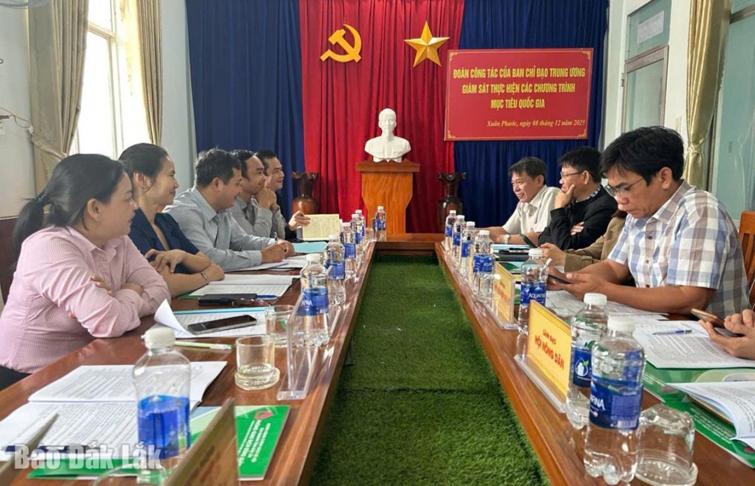 Đoàn công tác của Ban Chỉ đạo Trung ương giám sát thực hiện các chương trình mục tiêu quốc gia làm việc tại xã Xuân Phước.