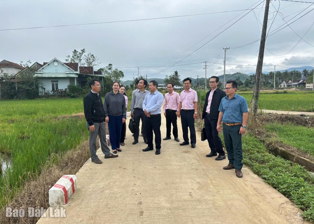 Đoàn giám sát khảo sát tuyến đường bê tông từ nhà ông Nguyễn Thái Bình đi Đồng Bé ở xã Xuân Phước, công trình được đầu tư từ nguồn vốn chương trình mục tiêu quốc gia.