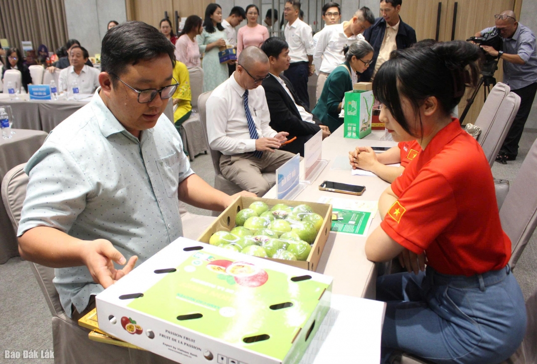 Trong khuôn khổ hội nghị két nối cung - cầu, các doanh nghiệp đã trao đổi, giới thiệu sản phẩm, điều kiện cung ứng,