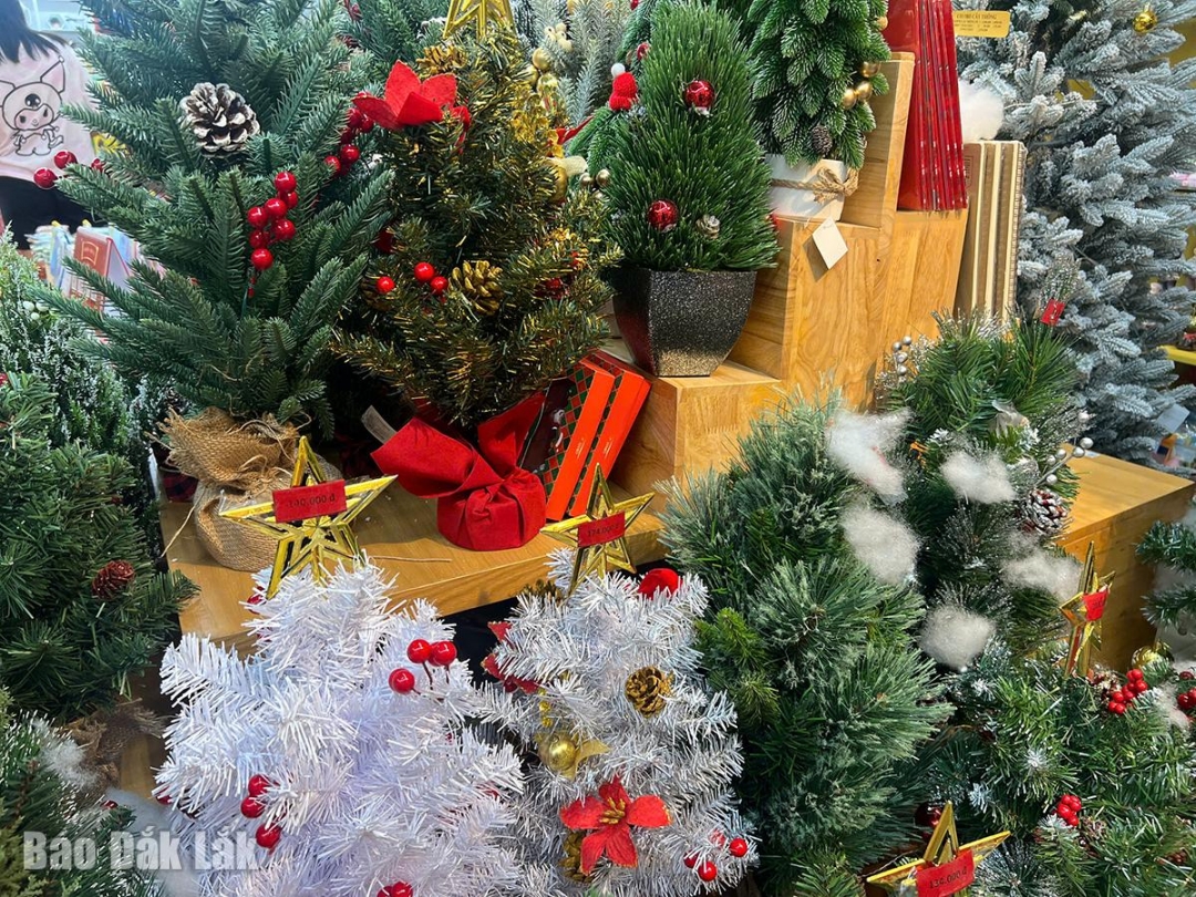 Những mẫu cây thông mini đủ giá phổ thông được trưng bày tại các điểm bán.