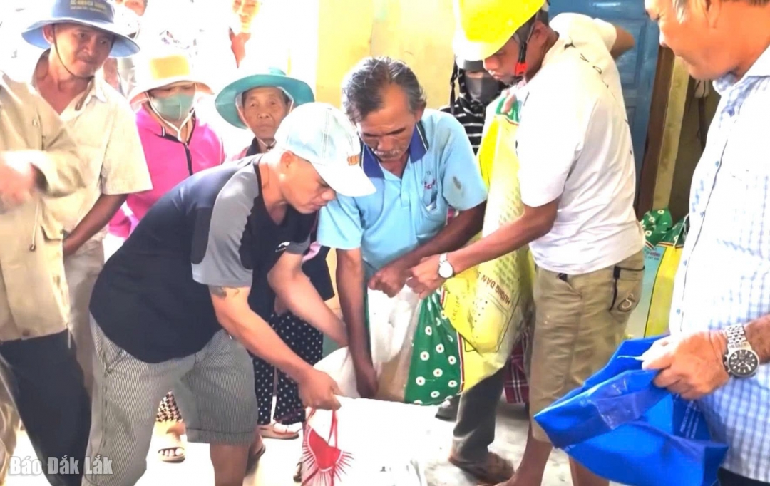 Người dân phường Tuy Hòa nhận lúa giống hỗ trợ sau bão lũ.