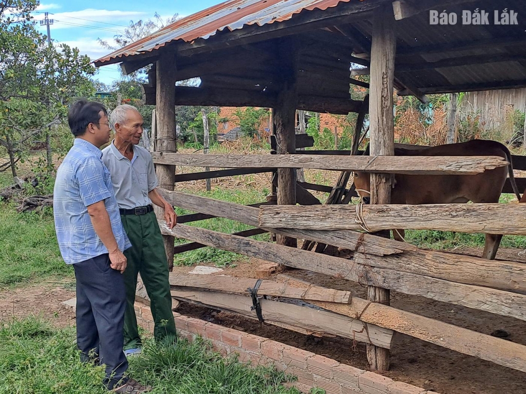 Mô hình kinh tế của ông Nông Văn Kiểu 
