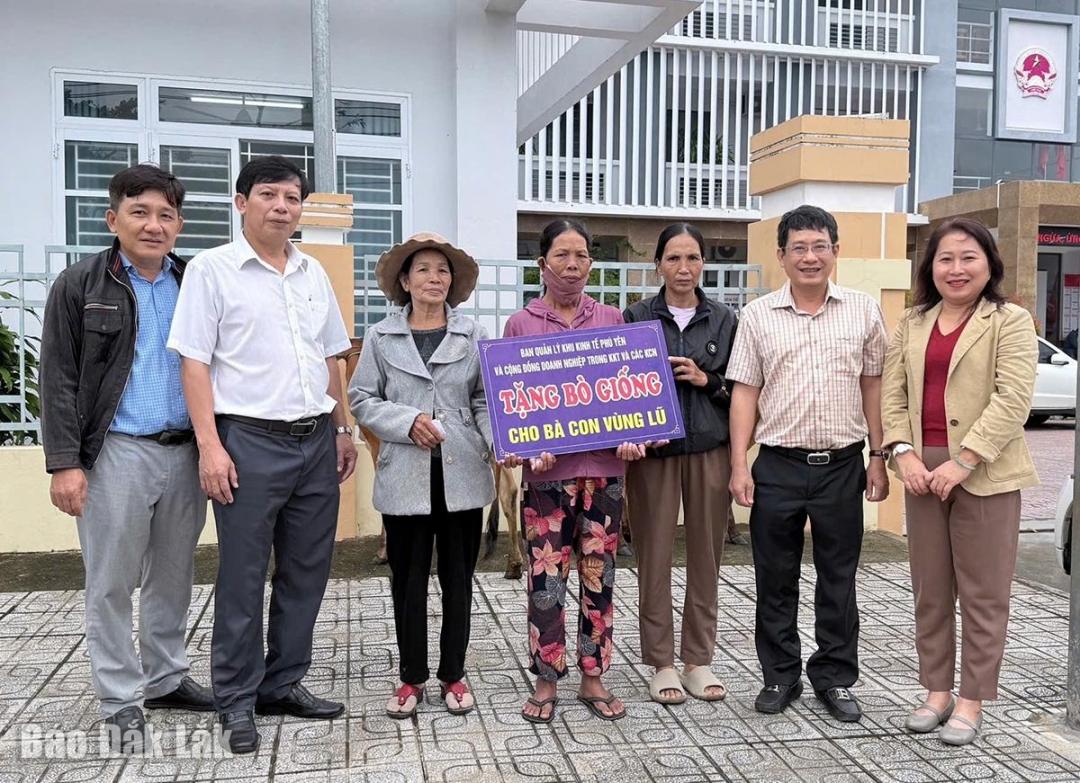 Người dân phường Phú Yên nhận bò giống do Ban Quản lý Khu kinh tế Phú Yên trao tặng trong sáng 26/12.