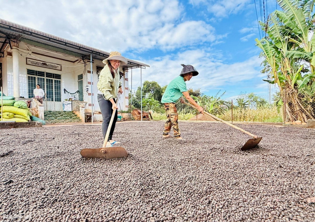 Vợ chồng chị H’Loan Niê được nhắc đến như một minh chứng cho tinh thần chịu khó học hỏi của thế hệ trẻ