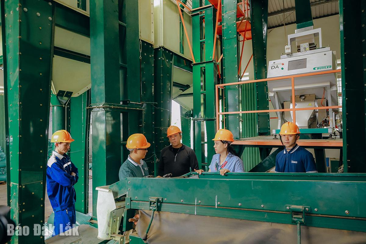 Taking on-site tours of coffee processing factories.