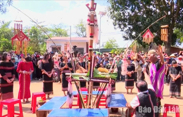 Lễ mừng lúa mới - Mạch nguồn bản sắc người Xê Đăng