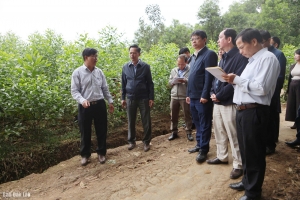 Kiểm tra thực địa khu tái định cư di dời dân vùng sạt lở thôn Ea Hăn, xã Yang Mao