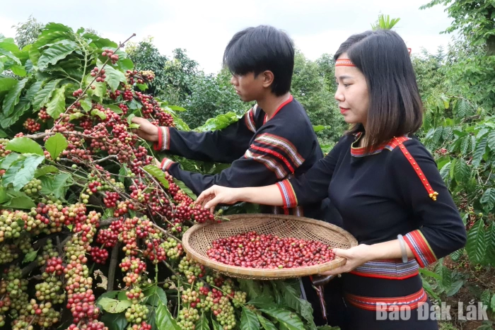 Affirming agriculture’s pillar role in the economy