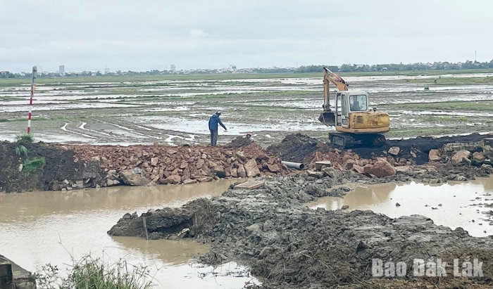 83,7% diện tích cây trồng được bảo đảm tưới nước