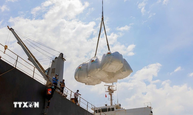 Vietnam exports more than 8.06 million tonnes of rice in 2025. Photo: VNA