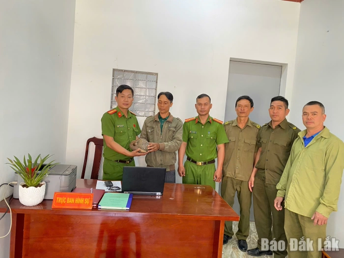 Người dân tự nguyện giao nộp cá thể tê tê Java quý hiếm