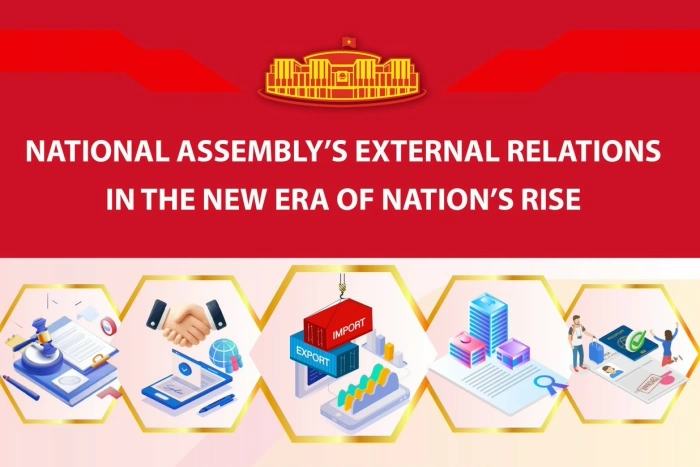 National Assembly's external relations in the new era of nation's rise