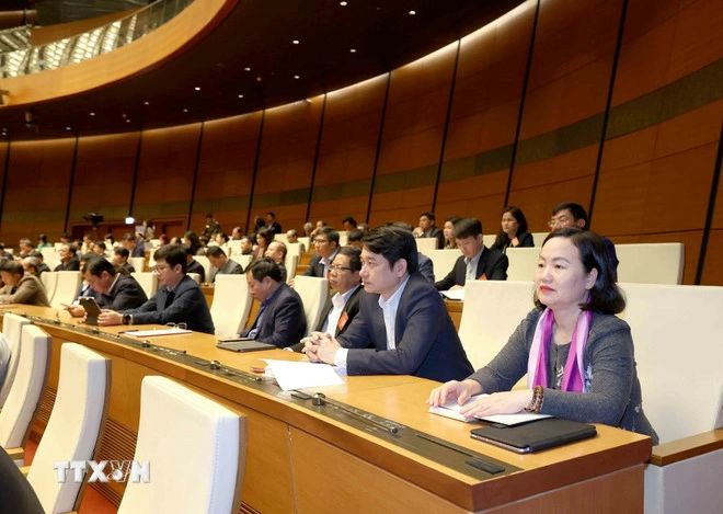 Đại biểu tham dự Hội nghị toàn quốc nghiên cứu, học tập, quán triệt và triển khai thực hiện Nghị quyết số 79-NQ/TW và Nghị quyết số 80-NQ/TW của Bộ Chính trị Ảnh: Phương Hoa/TTXVN