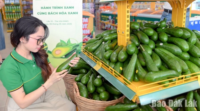 “Mít non gửi xuống, 
cá chuồn gửi lên”