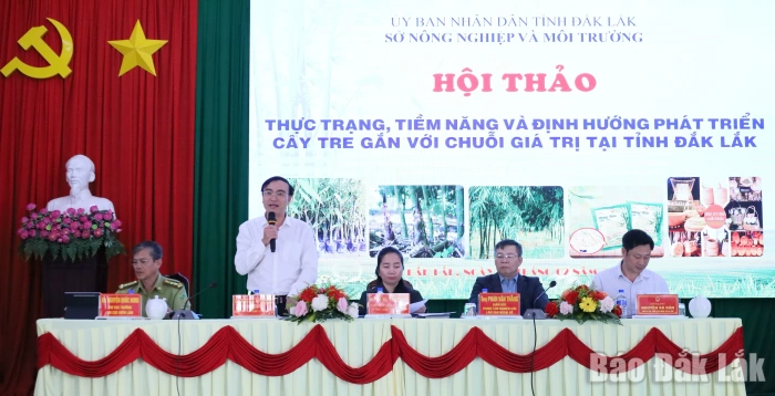 Đắk Lắk: Hướng tới xây dựng chuỗi giá trị bền vững cho cây tre