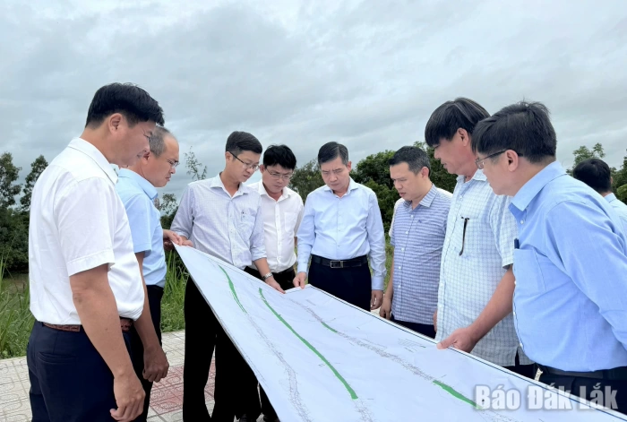 Building strong growth momentum from a new development space