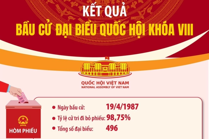 (Infographic) Kết quả bầu cử đại biểu Quốc hội khóa VIII