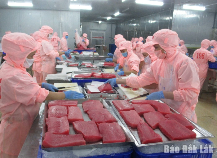 A launchpad for clean industrial development