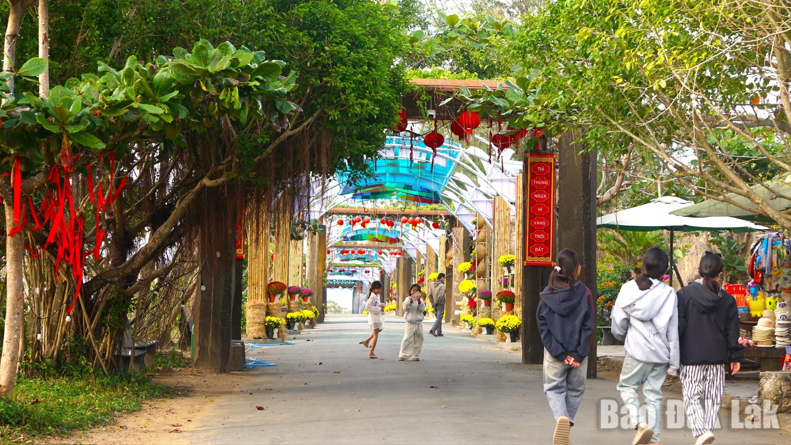 Các bạn trẻ du xuân và tham quan Gành Đá Đĩa