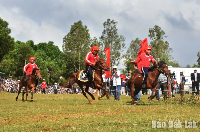 Spring hoofbeats on Go Thi Thung