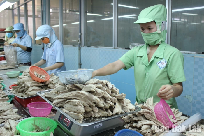 Khởi đầu tích cực, tạo đà tăng trưởng