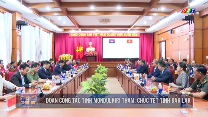 Thời sự 11h30 ngày 11/2/2026
