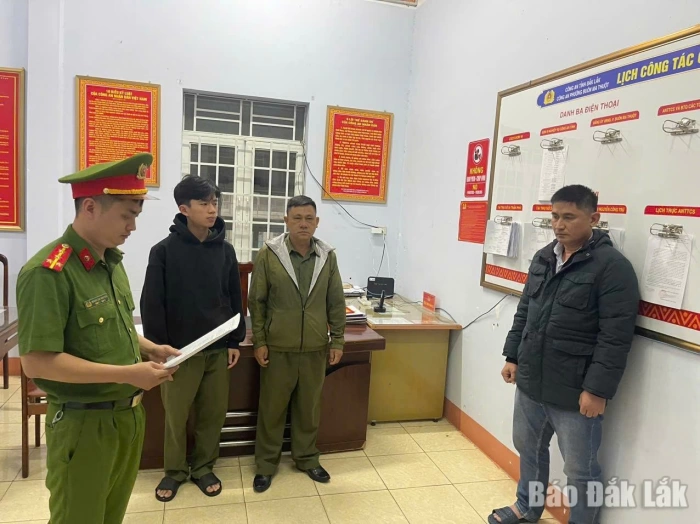 Bắt giám đốc doanh nghiệp sản xuất, buôn bán hàng trăm tấn lúa giống giả