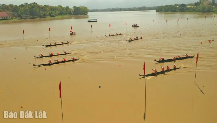 Hấp dẫn Lễ hội đua thuyền độc mộc huyện Lắk