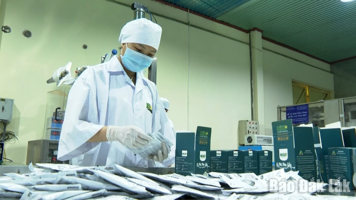 Enterprises seek ways to weather the “price storm”