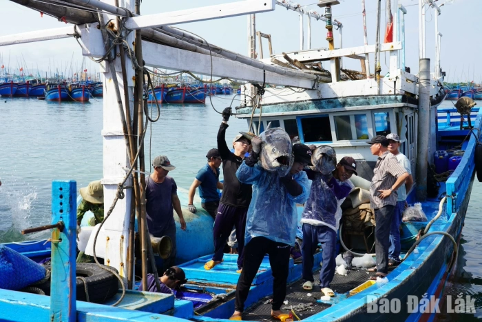 Dak Lak province strengthening fisheries discipline, determining to remove the IUU yellow card
