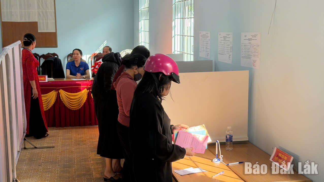 Cử tri lựa chọn