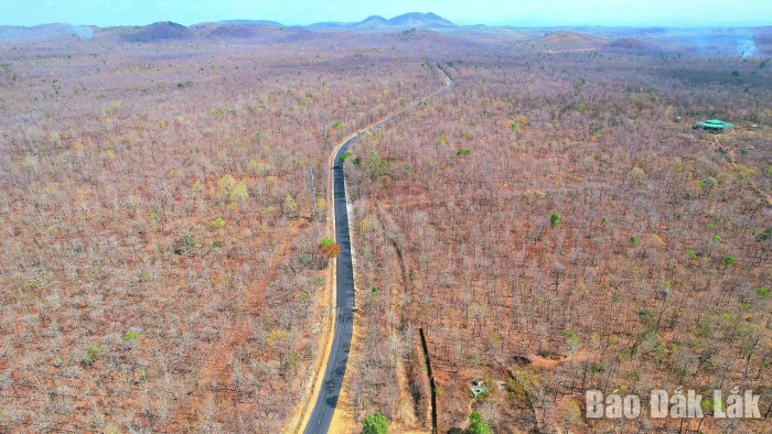Gian nan giữ rừng trong mùa khô