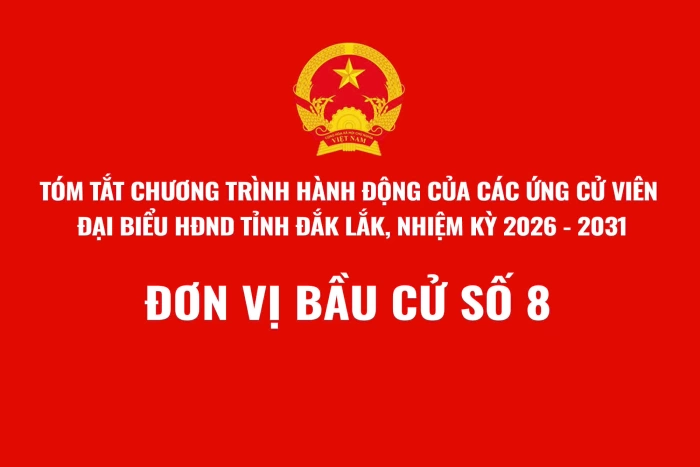 (Infographic) Tóm tắt Chương trình hành động của ứng cử viên đại biểu HĐND tỉnh Đắk Lắk, nhiệm kỳ 2026-2031 - Đơn vị bầu cử số 8