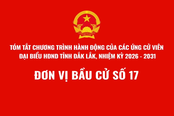 (Infographic) Tóm tắt Chương trình hành động của các ứng cử viên đại biểu HĐND tỉnh Đắk Lắk, nhiệm kỳ 2026 - 2031: Đơn vị bầu cử số 17