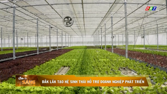 Bản tin sáng ngày 17/3/2026