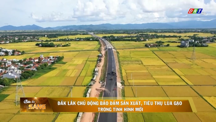 Bản tin sáng ngày 24/3/2026