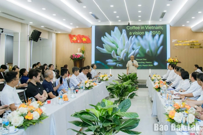 Tham vấn xây dựng hệ thống tiêu chuẩn chất lượng riêng cho cà phê Robusta Việt Nam