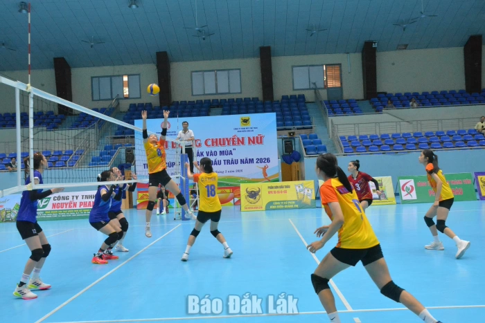 Giải bóng chuyền nữ “Đắk Lắk vào mùa": Chủ nhà xếp thứ 3 chung cuộc