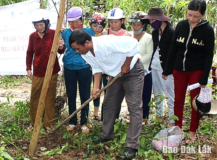 When international cooperation becomes a “lever” for development