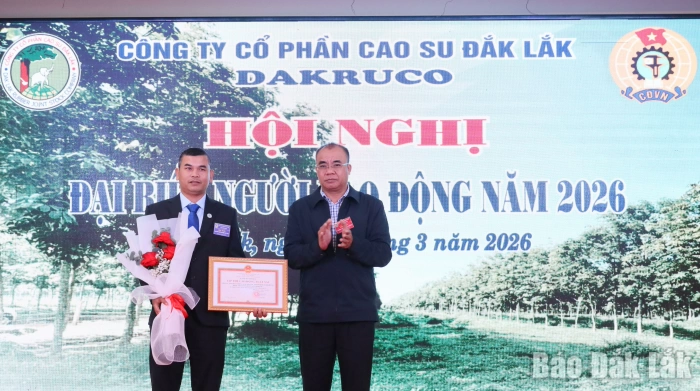 Công ty CP Cao su Đắk Lắk: Bảo đảm thực hiện tốt các chế độ chính sách cho người lao động