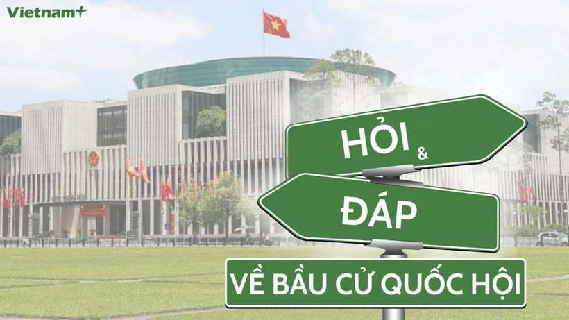 Ngày bầu cử đại biểu Quốc hội và Hội đồng nhân dân nhiệm kỳ 2026-2031 sẽ diễn ra vào Chủ nhật, ngày 15/3/2026. Nguồn: Vietnam+