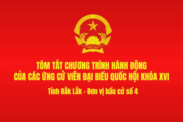 (Infographic) Tóm tắt Chương trình hành động của các ứng cử viên đại biểu Quốc hội khóa XVI: Đơn vị bầu cử số 4 tỉnh Đắk Lắk